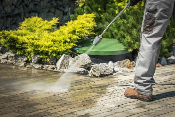 Best Playground Equipment Cleaning  in Mancelona, MI